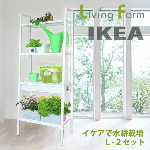 イケアのラック(IKEA:LERBERG)の棚に天板付きLEDを取り付けます リビングファームココベジの育苗、育成キットを使って本格的な野菜を育てます 棚　幅:600mm 高さ:14,800mm 奥行:350mm 重量：約5kg LED600光源(赤/青/白色LED) 1本 100V電源 月間コスト：電気代260円+肥料代100円　計360円 部品・付属品： 1.イケア棚(LERBERG) 2.LED600天板 1セット:植物栽培用LED600 1本＋天板(600) 3.育苗容器(育苗トレイ込) 1組 4.育成ポット 8個 5.育成ボックスS(育成パネルS込) 2組 6.液体肥料SS(容器) 約110cc 7.ウレタン培地 60個 8.ネームプレート 4枚 9.ハイドロボールS 大、小(一袋づつ) 10.種子(リーフレタス等) 2種 11.ピンセット 1本 12.台座ケース 2個 13.ガイドブック 1冊イケアのラックを使って水耕栽培をします