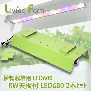 【送料無料】水耕栽培 キット ledライト DIY リビングファーム 植物栽培用 水耕栽培用 高輝度 LED 600-2 RW天板付（高輝度LED600 合計2本搭載） 野菜 ハーブ バジル ケール 栽培キット 室内 プランター 家庭菜園 野菜栽培