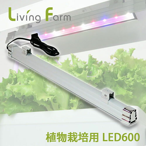 【送料無料 】水耕栽培キット led ライト リビングファーム 植物栽培用LED 高輝度LED600R 赤青系（60cm）【安心の2年保証】家庭菜園 リーフレタス などの葉菜類やハーブ類を効率よく育成 レタス 室内 野菜栽培 育苗 育成ライト 省エネ