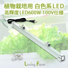 植物栽培用LED600