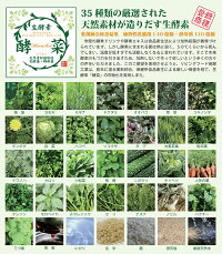 リビングフード発酵工業生酵素酵菜1000ml