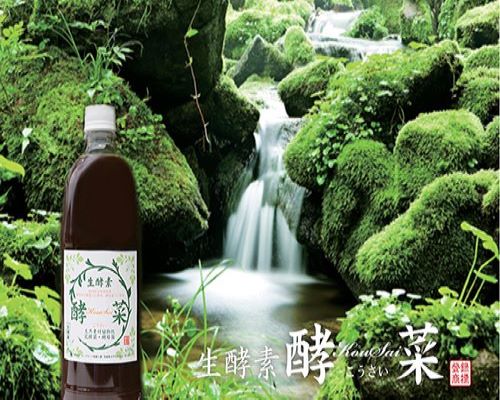 非加熱 生酵素　酵菜　酵素 エキス　株式会社リビングフード発酵工業　1000ml/1本