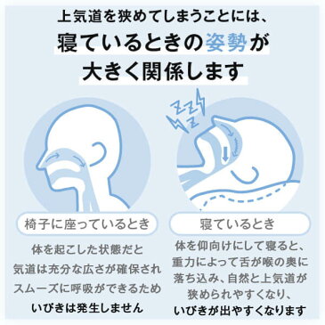いびき防止 枕 いびき枕 43 × 63 cm いびき 防止 対策 グッズ まくら 父の日 母の日 プレゼント ギフト 実用的 高さ調整 洗える 首 肩 こり 頚椎 横向き 横寝 枕カバー付き パイプ 日本製