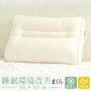 睡眠環境改善枕 防ダニ いびき枕 リビングインピース 35 × 50 cm いびき 枕 防止 まくら パイプ枕 高さ調整 洗える 首 肩 こり 頚椎 横寝 日本...