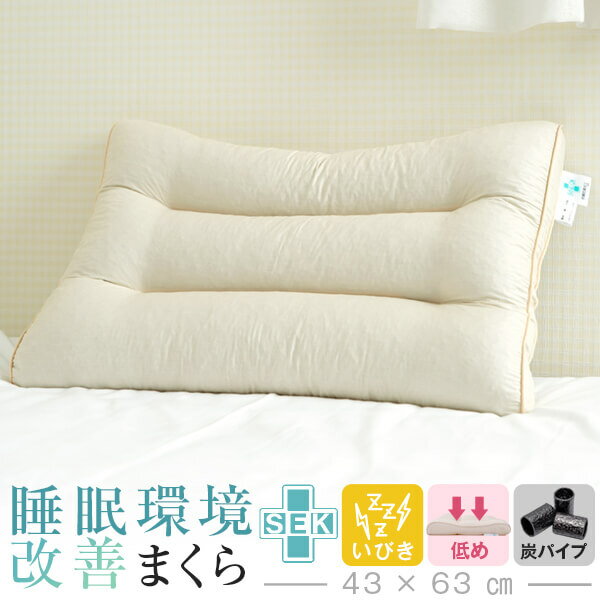 睡眠環境改善枕 抗菌 防臭 いびき枕 低め リビングインピース 43 × 63 cm いびき 枕 防止 まくら パイプ 炭 高さ調整 洗える 首 肩 こり 頚椎 横寝 日本製 父の日 ギフト プレゼント