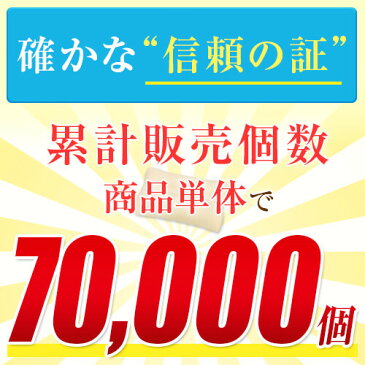 いびき 枕 まくら いびき枕 スタンダード 43×63 43 63 cm 高さ調節 洗える 高さ調節 高さ調整 枕カバー 付 パイプ 日本製 いびき防止 イビキ防止 イビキ 防止 グッズ ピロー ギフト プレゼント 贈り物 女性 女性用 女 女用 男性 男性用 男 男用