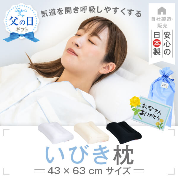 【ポイント2倍up セール期間中】いびき防止 枕 いびき枕 スタンダード 43 × 63 cm サイズ 洗える 父の日 ギフト いびき イビキ 防止 対策 まくら マクラ 高い 高さ 調節 高さ調整 安眠 快眠 かため 硬め パイプ 日本製【父の日特集】