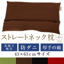 楽天スーパーSALE【10％OFF 4日20：00～11日1：59】ストレートネック 枕 プラス 43 × 63 cm 肩こり 首こり 矯正 首枕 洗える 高さ調整 日本製 光電子パイプ 防ダニわた 綿オックス無地