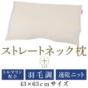 ストレートネック 枕 送料無料 ストレートネック枕 プラス ...