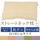 living in peace提供 インテリア・収納・寝具通販専門店ランキング5位 ストレートネック 枕 送料無料 ストレートネック枕 プラス 43×63 cm サイズ 高さ調節 洗え... living in peace提供 インテリア・収納・寝具通販専門店ランキング5位 ストレートネック 枕 送料無料 ストレートネック枕 プラス 43×63 cm サイズ 高さ調節 洗え...