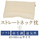 living in peace提供 インテリア・収納・寝具通販専門店ランキング29位 ストレートネック 枕 送料無料 ストレートネック枕 プラス 43×63 cm サイズ 高さ調節 洗え... living in peace提供 インテリア・収納・寝具通販専門店ランキング29位 ストレートネック 枕 送料無料 ストレートネック枕 プラス 43×63 cm サイズ 高さ調節 洗え...