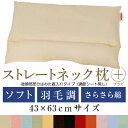 ストレートネック 枕 送料無料 ストレートネック枕 プラス ...