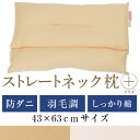 ストレートネック 枕 送料無料 ストレートネック枕 プラス ...