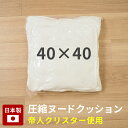 ヌード クッション 40×40cm 日本製 真空 圧縮 クッション 中身 中材 角型 背あて 洗える 洗濯 無地【クッションE】