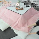 【クーポン配布中】 こたつ上掛け 185×185 190×190 正方形 フリース 起毛 天然素材 あたたか あたたかい 毛布 おしゃれ 無地 洗える 日本製コ...