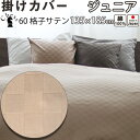 【クーポン配布中】 ホテルタイプ ブロック チェック 掛け布団カバー ジュニア 介護 用 135×185 ジュニアサイズ 介護サイズ おしゃれ サテン ホテル コーマ糸 60番手 長綿 綿100 % 格子柄 昼夜織 岩本繊維 【日本製】(3)