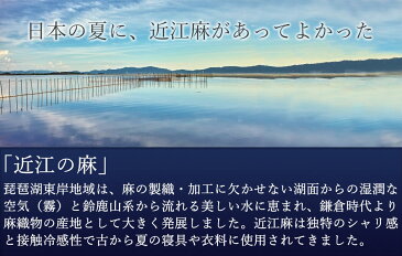 メンズ パジャマ 夏 近江ちぢみ 麻100 長袖 長ズボン 襟なし 前開き 軽い ちぢみ 楊柳 無地 涼しい おしゃれ 日本製 京都 男性 紳士 上下セット 2L 3L 大きいサイズ プレゼント ギフト【受注生産】冷房対策