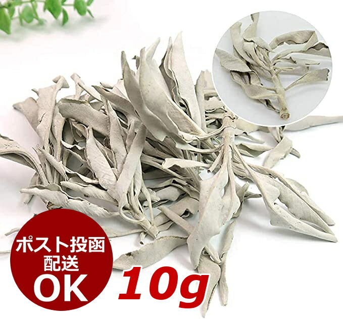 ホワイトセージ 10g 浄化 無農薬 カリフォルニア産 オーガニックパワーストーン お香 アロマ White Sage