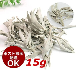 ホワイトセージ 15g 浄化 無農薬 カリフォルニア産 オーガニックパワーストーン お香 アロマ White Sage