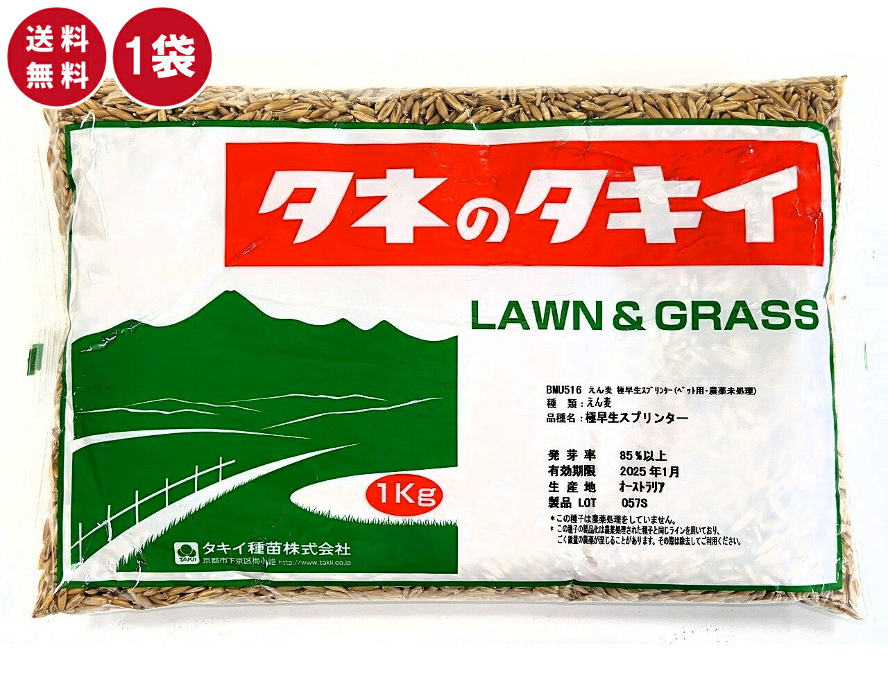 タキイ種苗 えん麦種子 1kg 極早生スプリンター ペット用・農薬未処理 えん麦 牧草の種 緑肥 エンバク ..