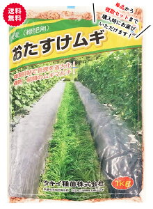 タキイ種苗 おたすけムギ 大麦 1kg 緑肥用 緑肥の種 雑草抑制 土壌流出防止 地温抑制 乾燥防止 土壌改良 畑 お助け麦 おたすけ麦 リビングマルチ あす楽