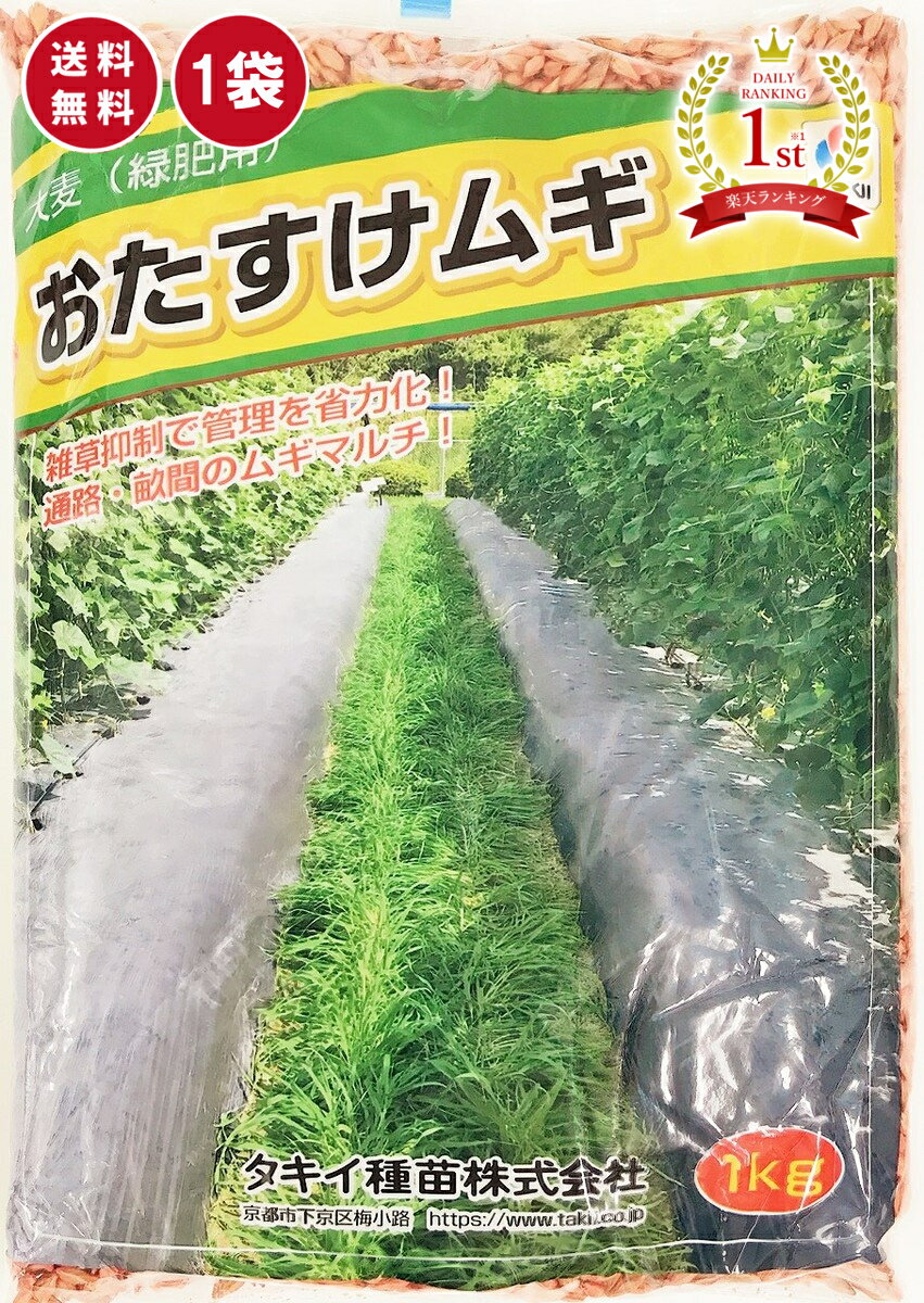 タキイ種苗 おたすけムギ 大麦 1kg 緑肥用 緑肥の種 雑草抑制 土壌流出防止 地温抑制 乾燥防止 土壌改良 畑 お助け麦 おたすけ麦 リビングマルチ あす楽