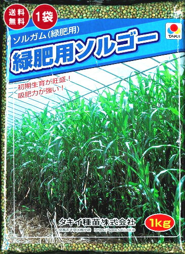 タキイ種苗 ソルガム種 緑肥用ソルゴー 1kg 地力増進 緑肥の種 有機物 牧草種子 景観用作物 茎葉が細く分解しやすい 初期育成が早い 耐暑性が高い 草丈200～280cm あす楽