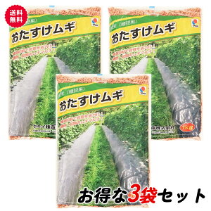 【お買い物マラソンクーポン発行中!】タキイ種苗 おたすけムギ 大麦 1kg×3袋セット 緑肥用 緑肥の種 雑草抑制 土壌流出防止 地温抑制 乾燥防止 土壌改良 畑 お助け麦 おたすけ麦 リビングマルチ あす楽