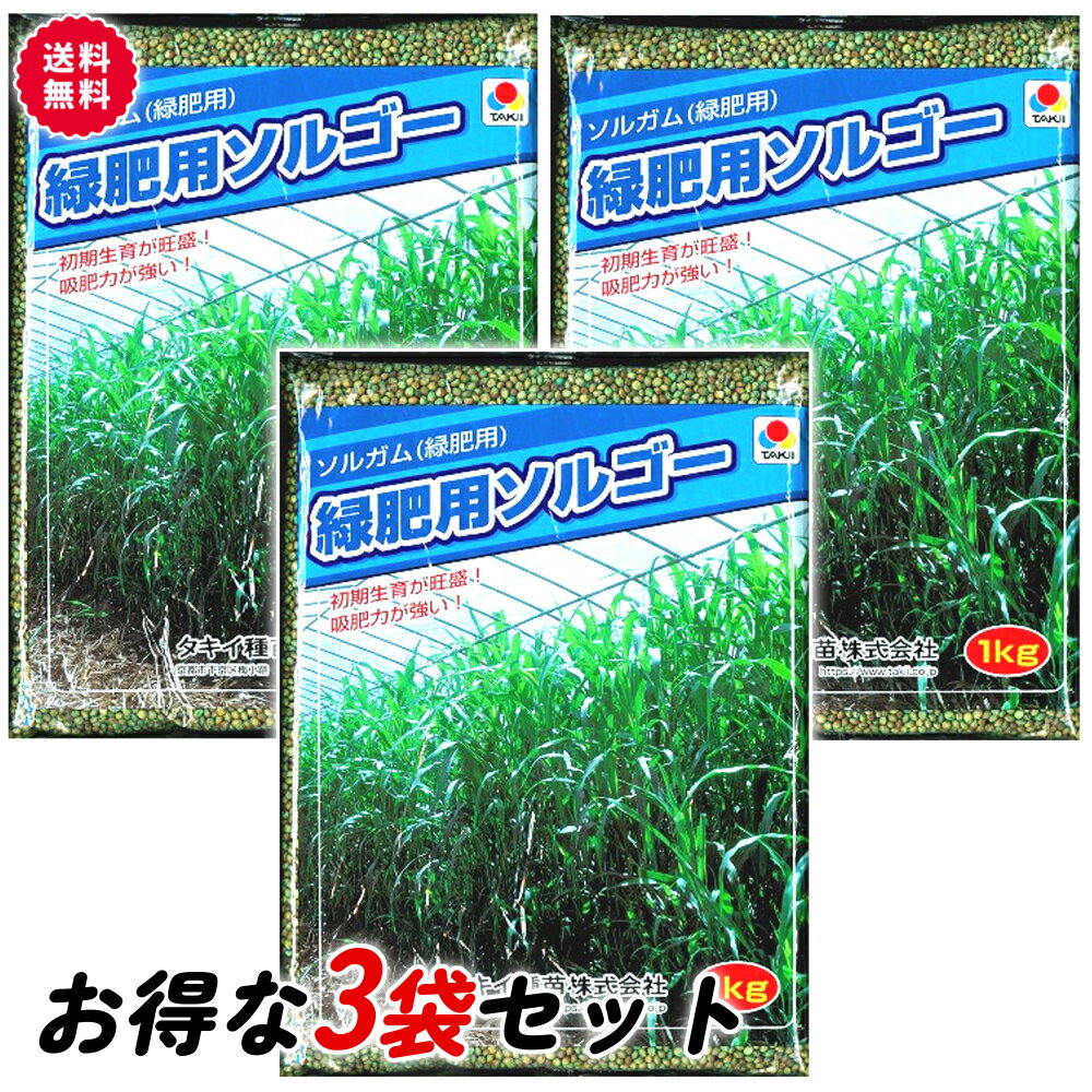 タキイ種苗 ソルガム種 緑肥用ソルゴー 1kg×3袋セット 地力増進 緑肥の種 有機物 牧草種子 景観用作物 茎葉が細く分解しやすい 初期育成が早い 耐暑性が高い 草丈200～280cm あす楽