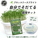 有機種子 ブロッコリースプラウト 栽培キット(容器1点+種1袋) スプラウト 豆苗 水耕栽培 野菜 育てる 栽培容器 おしゃれ グリーンインテリア 栽培セット ...