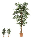 観葉植物 フェイクグリーン グリーン 造花 植木 緑 インテリアガーデン インテリア 玄関 エントランス キッチン リビング 室内ガーデン ギフト プレゼント ...