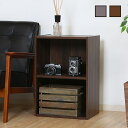 収納家具 組立簡単 ボックス 2段 カラーボックス ラック ロータイプ 本棚 収納棚 棚 本収納 木製ラック オープンラック シンプル 収納ボックス リビングラ...