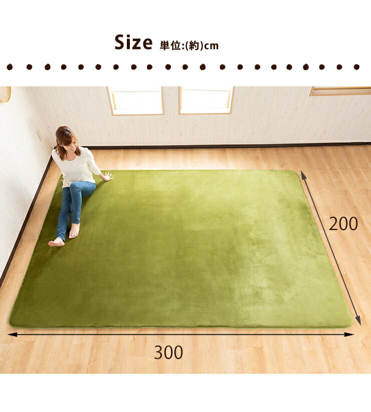 【送料無料】極厚！高反発 フランネルラグマット 200×300cm 約3畳 防ダニ 抗菌防臭加工 安心 低ホルムアルデヒド で安心安全 滑り止め 縁取り ホットカーペット対応 ラグ ラグマット カーペット 無地 LANA ラーナ