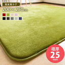 極厚！高反発 フランネルラグマット 200×250cm 約3畳 防ダニ 抗菌防臭加工 安心 低ホルムアルデヒド で安心安全 滑り止め 縁取り ホットカーペット対応 ラグ ラグマット カーペット 無地 LANA ラーナ