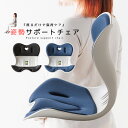 姿勢サポートチェア クッション 姿勢改善 姿勢矯正 姿勢 腰痛 腰痛防止 車 シート 腰当て 背もたれ 車用 シートクッション 座椅子 猫背 猫背対策 背当て ...