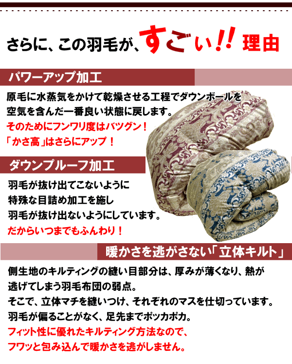 【送料無料】ダウンケット シングル ニューゴールドラベル 肌掛け布団 羽毛肌掛け 羽毛布団 夏用 日本製【P2】【MK】