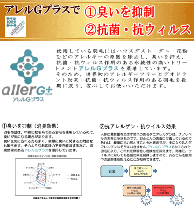 羽毛布団セット ダブル【送料無料】布団セット 寝具セット ダブル 抗菌 防臭 抗ウィルス 消臭　日本製【P2】【MK】