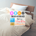 羽毛布団 クイーン クィーン 2枚合わせ 肌布団 合掛け布団 ホワイトダウン ロイヤルゴールドラベル 400dp以上 軽量生地 オールシーズン 日本製【P2】【MK】