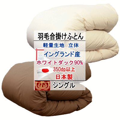  󥰥  󥰥ɻۥ磻ȥå 90%  르ɥ٥ å֥  P2