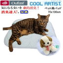 アウトラスト パッド ペット用パッド 消臭達人 極 70x100cm クールアーティスト 消臭 抗菌 涼感 冷感 ひんやり ペット わんにゃんパッド 介護 10...