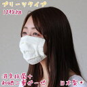 【在庫あり】【送料無料】マスク プリーツマスク 消臭達人 衛生マスク 和晒二重ガーゼ 10枚組 消臭 抗菌 ガーゼ 洗濯可能 洗える 日本製 オールシーズン 男女兼用 【P2】【MK】