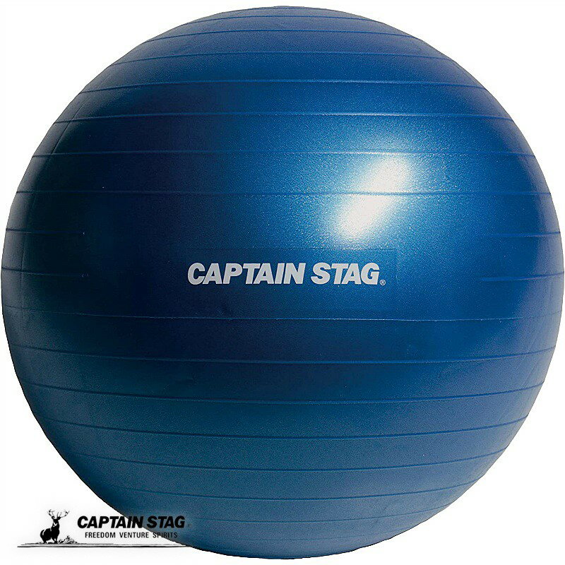 キャプテンスタッグ Vit FIt フィットネスボール Φ65cm ブルー エクササイズ フィットネス 体幹トレーニング UR-862