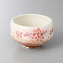 美濃焼 赤彩ミニ抹茶碗 10×6.3cm 300cc