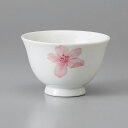 桜写し千茶