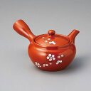 美濃焼 朱泥白梅彫急須(帯アミ)16.5×14×9cm 300cc