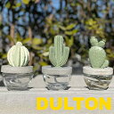 DULTON ダルトンCACTUS FRAGRANCE DIFFUSERカクタス フレグランス ディフューザー