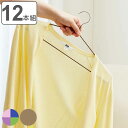 ハンガー すべりにくい すべり落ちにくいハンガー 12本組 ( 衣類収納 洋服ハンガー シャツ 12本 衣類 収納用品 すべり止め 収納 )