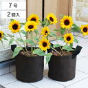 鉢カバー 不織布プランター 2個組 布 ( プランターカバー 不織布 直径21cm ポットカバー 植木鉢カバー 植木鉢 プランター カバー プランターバスケット...