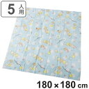 レジャーシート 5人用 180×180cm クッションマット2畳 すみっコぐらし 水色ドット ( クッションマット レジャーマット 2畳サイズ バッグ付き すみ...