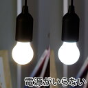 ひっぱり点灯ライト ALA-4308 ( 電球型ライト 吊り下げ LEDライト 電池式ライト スマイルキッズ )